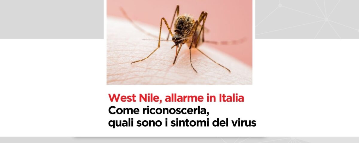 zanzara west nile disinfestazione con bastone salvatore srl