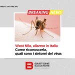 zanzara west nile disinfestazione con bastone salvatore srl
